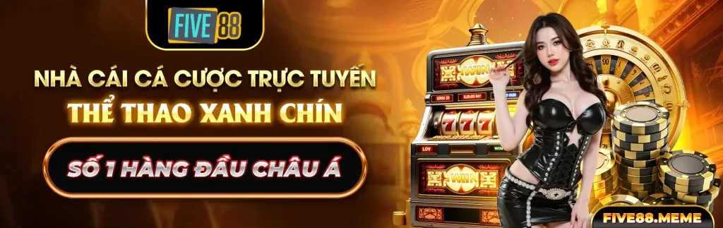 Hoàn trả cược đá gà hàng tuần