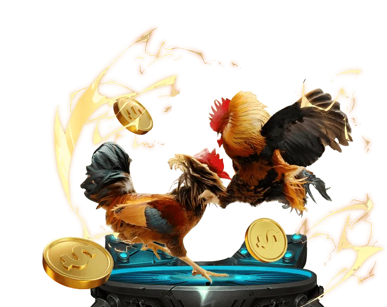 Hình ảnh một người đang phân tích thông tin về các chiến kê và tỷ lệ cược trên máy tính bảng